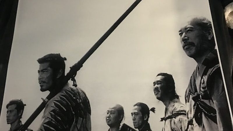 园林绿化苗木产地对比：如何选择优质苗木的秘诀**