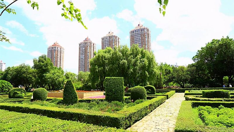 成都园林绿化工程招标价格，为什么几家报价能差出一倍