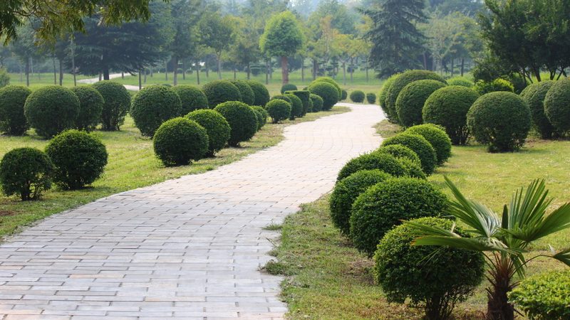 道路绿化防寒挡风板：守护绿植的冬日守护者