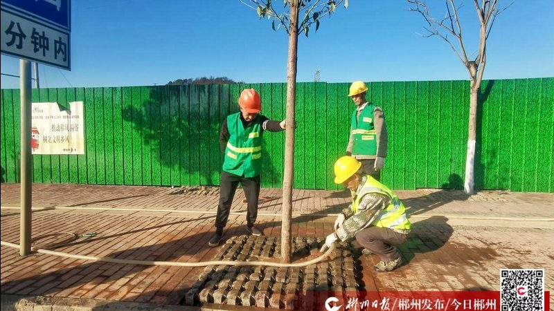 上海小区绿化工程公司排名背后的考量因素