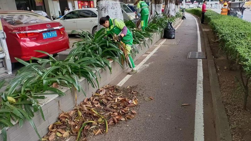 成都开业庆典绿植租赁：如何打造绿色氛围**
